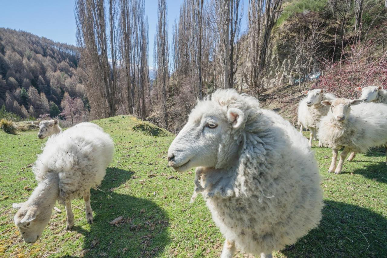 The Canyons B&B Queenstown Dış mekan fotoğraf
